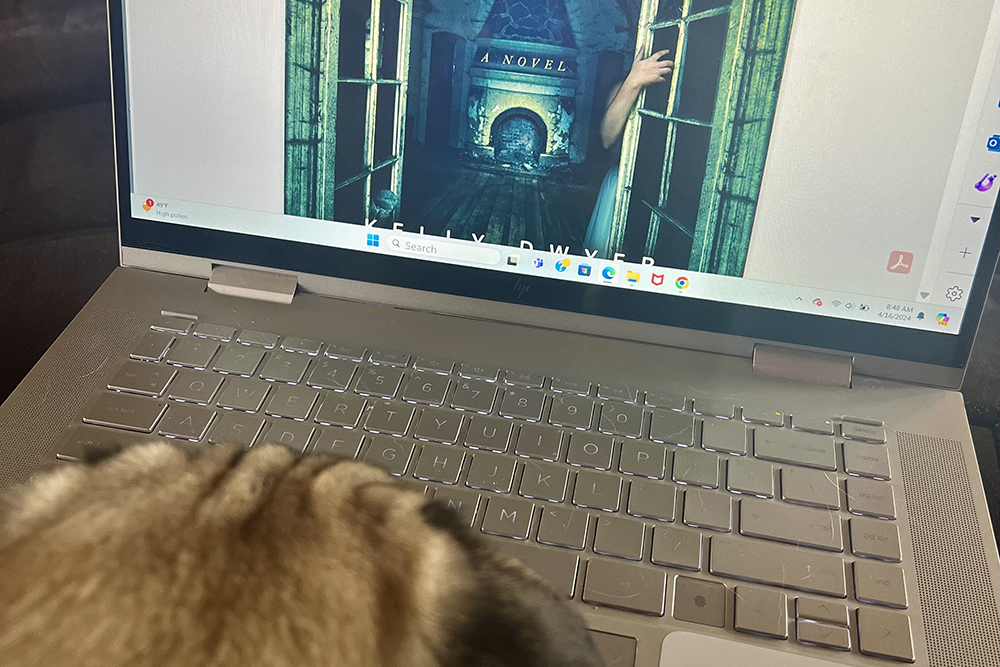 need to write: manuscript on laptop with dog