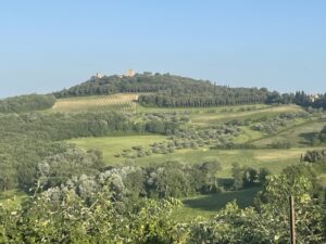 tuscany 1 (3)