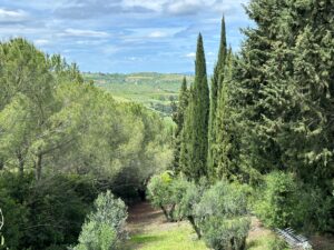 tuscany 1 (3)