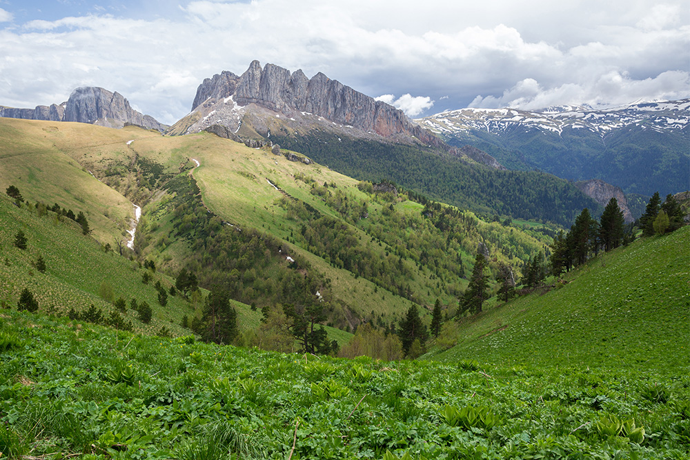 Pictured here, a landscape of the early mesozoic evolution in the Western Caucasus to represent how origin shapes character name ideas — where the name "human" itself originates from