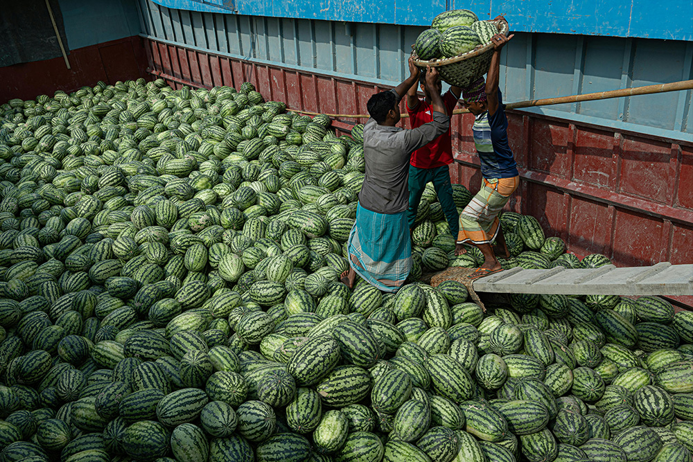 A visual metaphor for how an author chooses how many words in a chapter there 'ought to be. The language itself is like a large crop field, and those selected for a novel are like a great harvest of produce, from which one must batch together sections of produce to cordon into chapters.