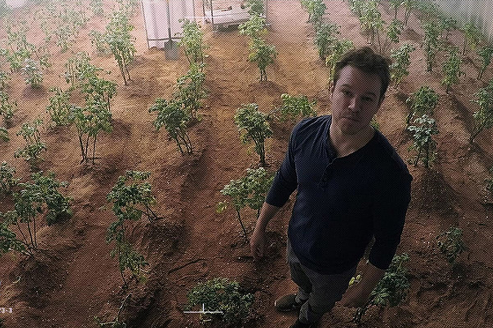 Matt Damon in The Martian growing a field of potatoes, as a visual metaphor for self-publishing