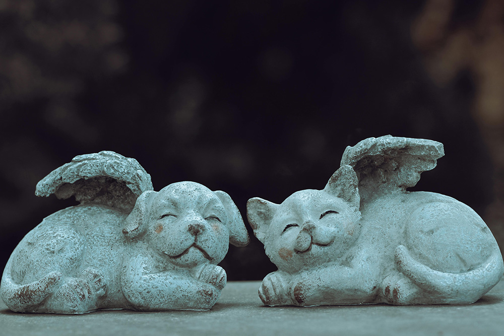 Concrete magical puppy and cat with wings to suggest the kinds of creatures that may be worth sketching for a writer — even this very image may be nice to sketch?