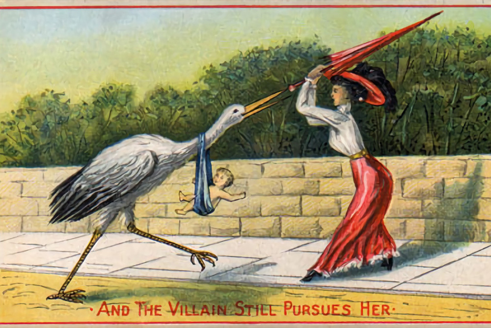 A woman is being chased by a stork in a picture used to represent historical fiction and the many ways it creates powerful images for readers.