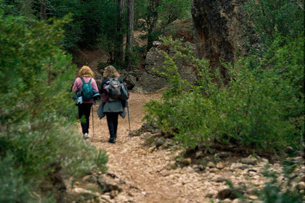 A writer traverses the austere foliage with a companion as they decide what type of writer they want to be in how to self-publish a book