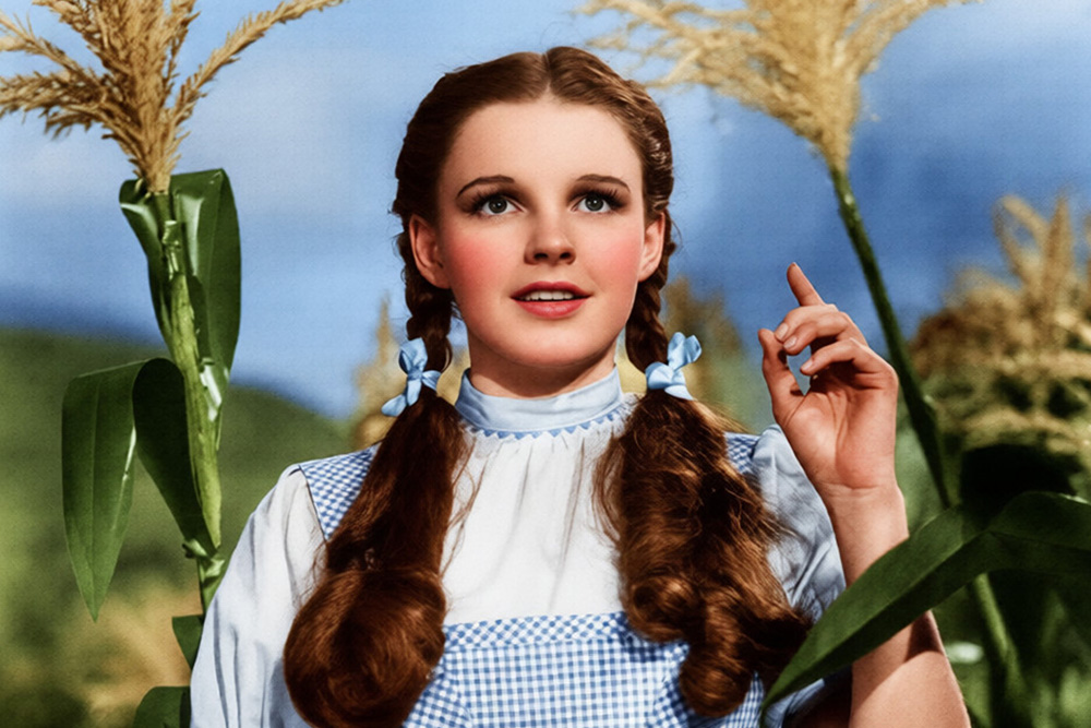 Striking image of Dorothy in The Wizard of Oz, accepting the new reality she is faced with in describing how a protagonist transforms in what makes a good story