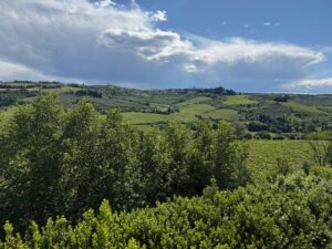 IMG_4878