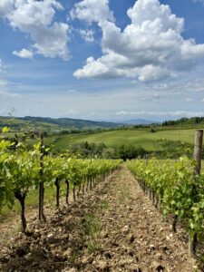 Tuscany Retreat_Photos-Views_04