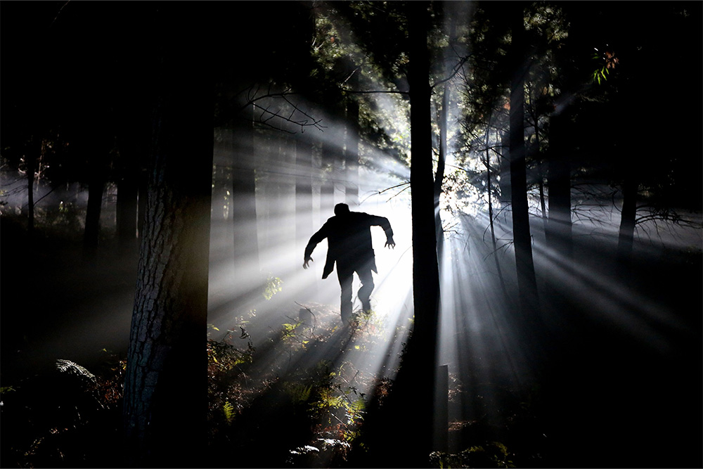 A shadow depicted running toward light as an example of how the creator archetype may be depicted to be understood as a danger to the world