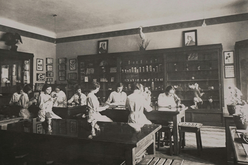 Women in a laboratory observe carefully microscopes in an old-time picture to suggest what elements of plot vs. story are discerned by the scientific writer