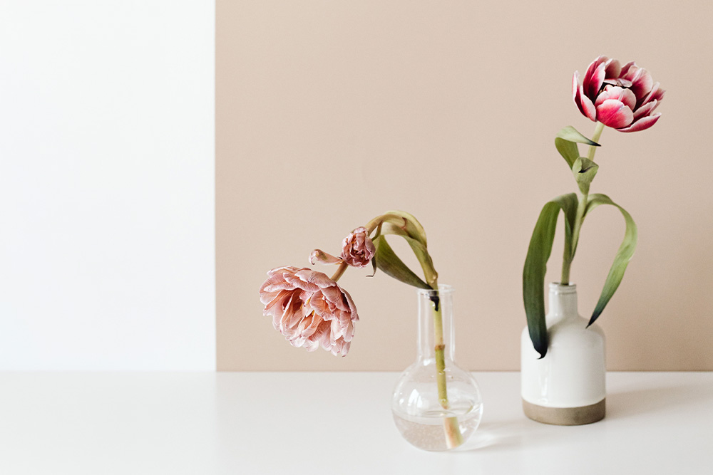 Two flowers juxtaposed, one blooming and one wilting to consider how writers may consider plot vs. story as competing interests and sabotage their own