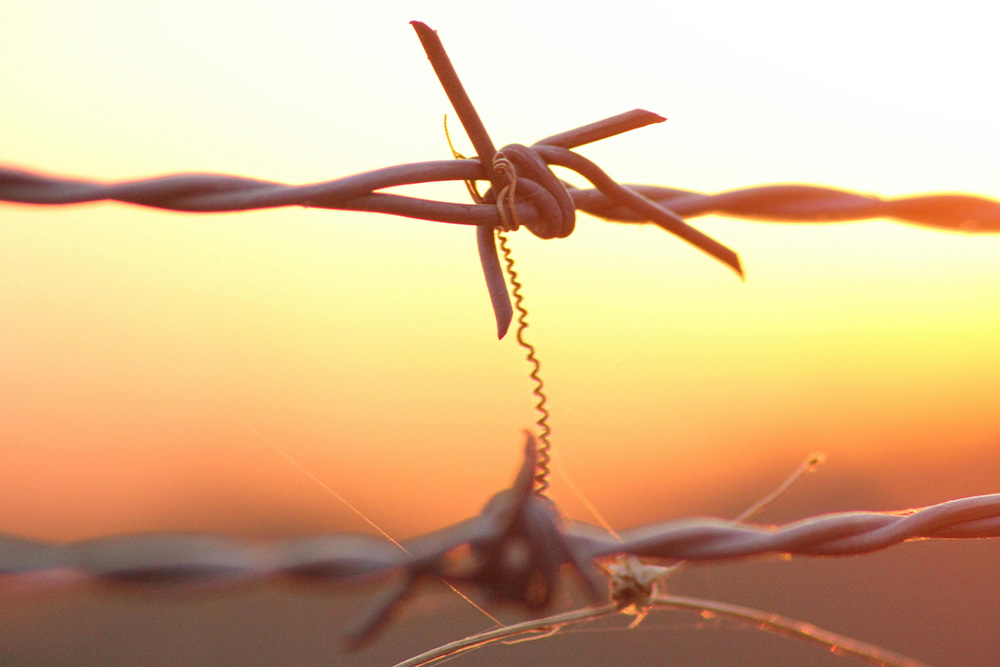 Chain fences suggest a boundary between what plot vs. story can do