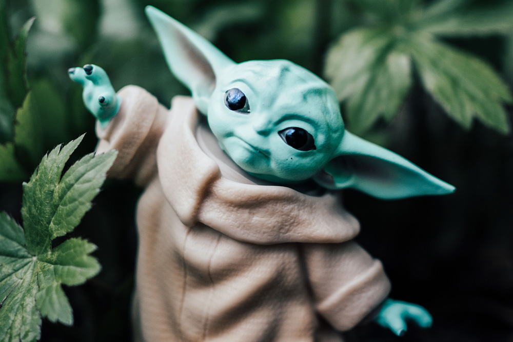 Little yoda doll with leaves adorning his sides suggests the sage archetype personified