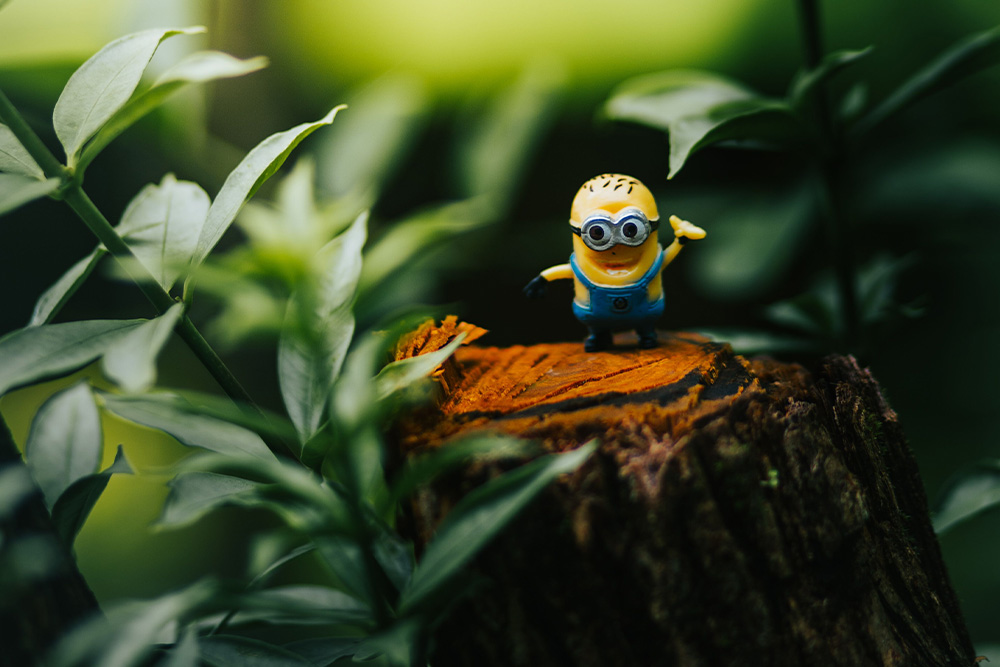 A minion on a log suggests a difference between facts and character in a character sheet