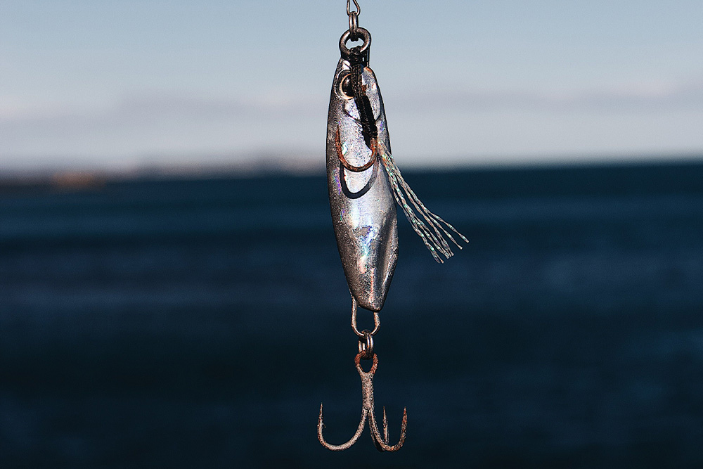 A piece of bait hangs above a fishing hook in the foreground and the open sea behind it to suggest visual parallel in how to start a memoir
