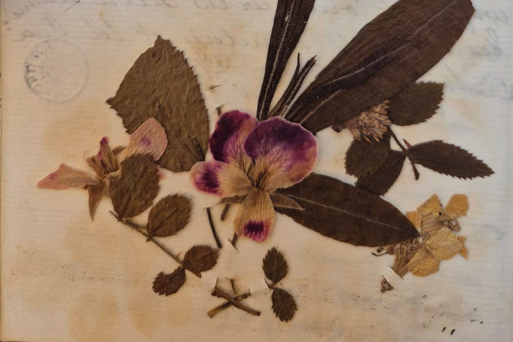 Dried flowers on a page suggests bringing life to the page through writing journals
