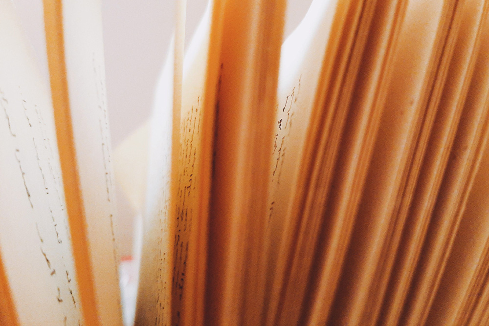 Pages in a golden light shot on macro to create a pretty and stippled composition of what it takes to fill a page with words