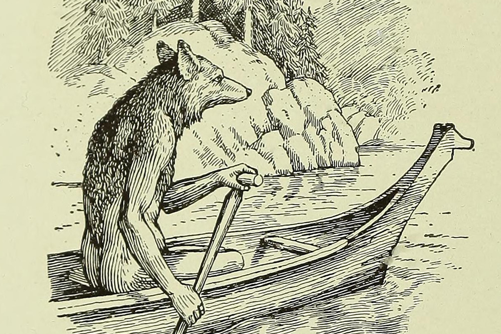 Image of coyote trickster archetype from Indigenous storytellings for the emphasis that trickster is not always the villain