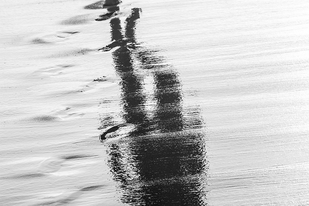 A shadow of a person in water on sands conveys that the trickster archetype is only as useful as that element which has carried it.