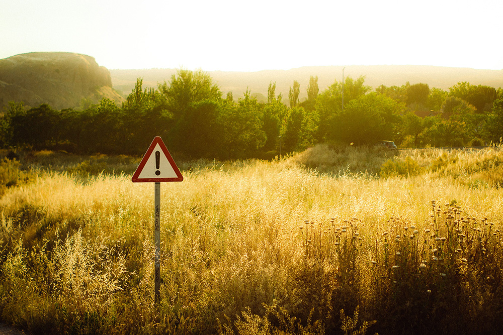 A warning sign in a golden inviting field suggests that finding red flags in hybrid publishing can be tricky