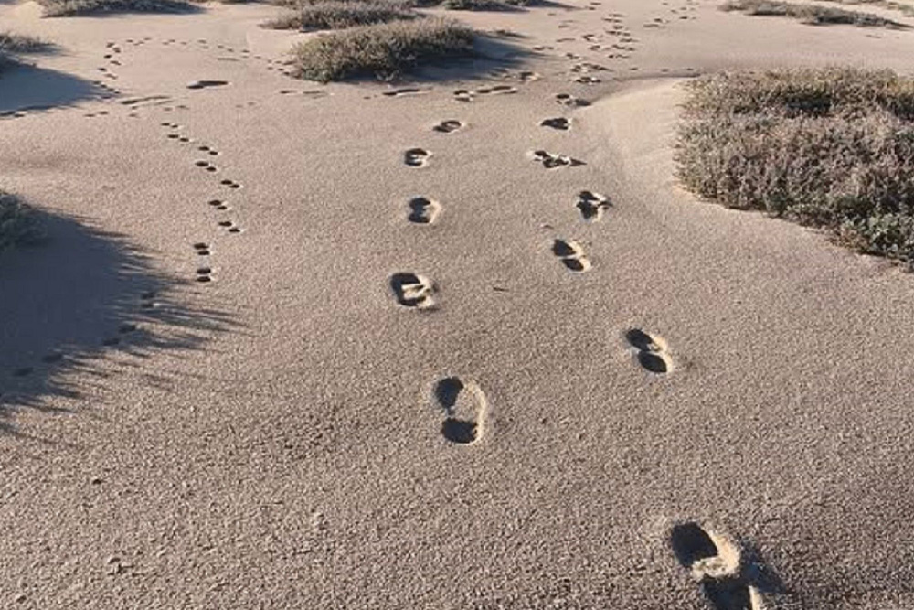 Different sized footsteps placed relative to one another to suggest different writing motivation will work for different writers to create realistic goals