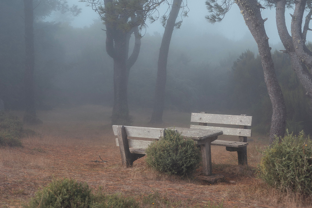 A table and bench in a beautiful foggy early morning setting to suggest some part of writing motivation is external, too.