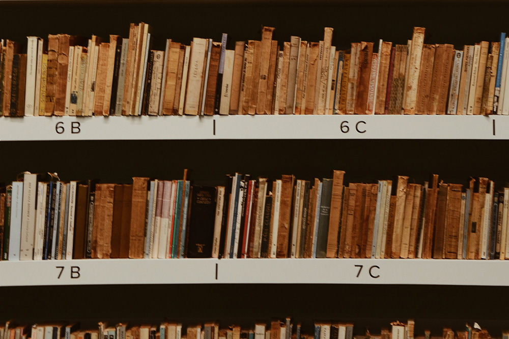 The many many categories of bad traits visualized in rows of books
