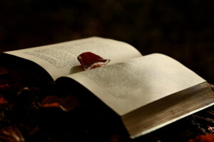A lilting flower petal in a book to suggest how bad character traits are beautiful