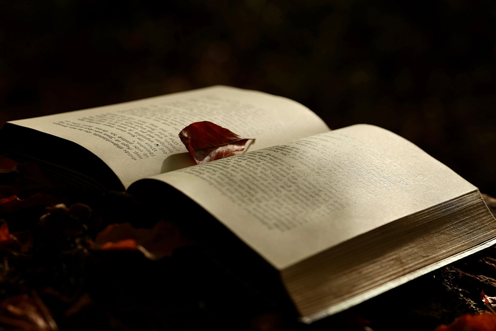 A lilting flower petal in a book to suggest how bad character traits are beautiful