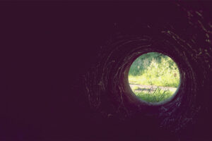 How Limited Point of View Shapes What Readers Know