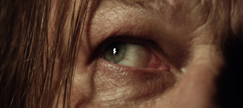 An eye of a character from Game of Thrones to suggest limited point of view