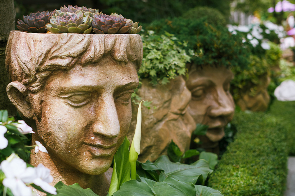 Plants from different statue heads to mirror head hopping in limited points of view
